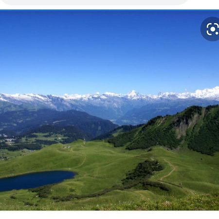 Studio Cabine Praz De Lys Taninges Exteriér fotografie