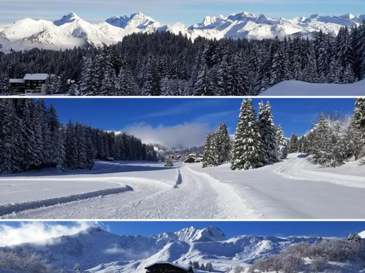 Studio Cabine Praz De Lys Taninges Exteriér fotografie