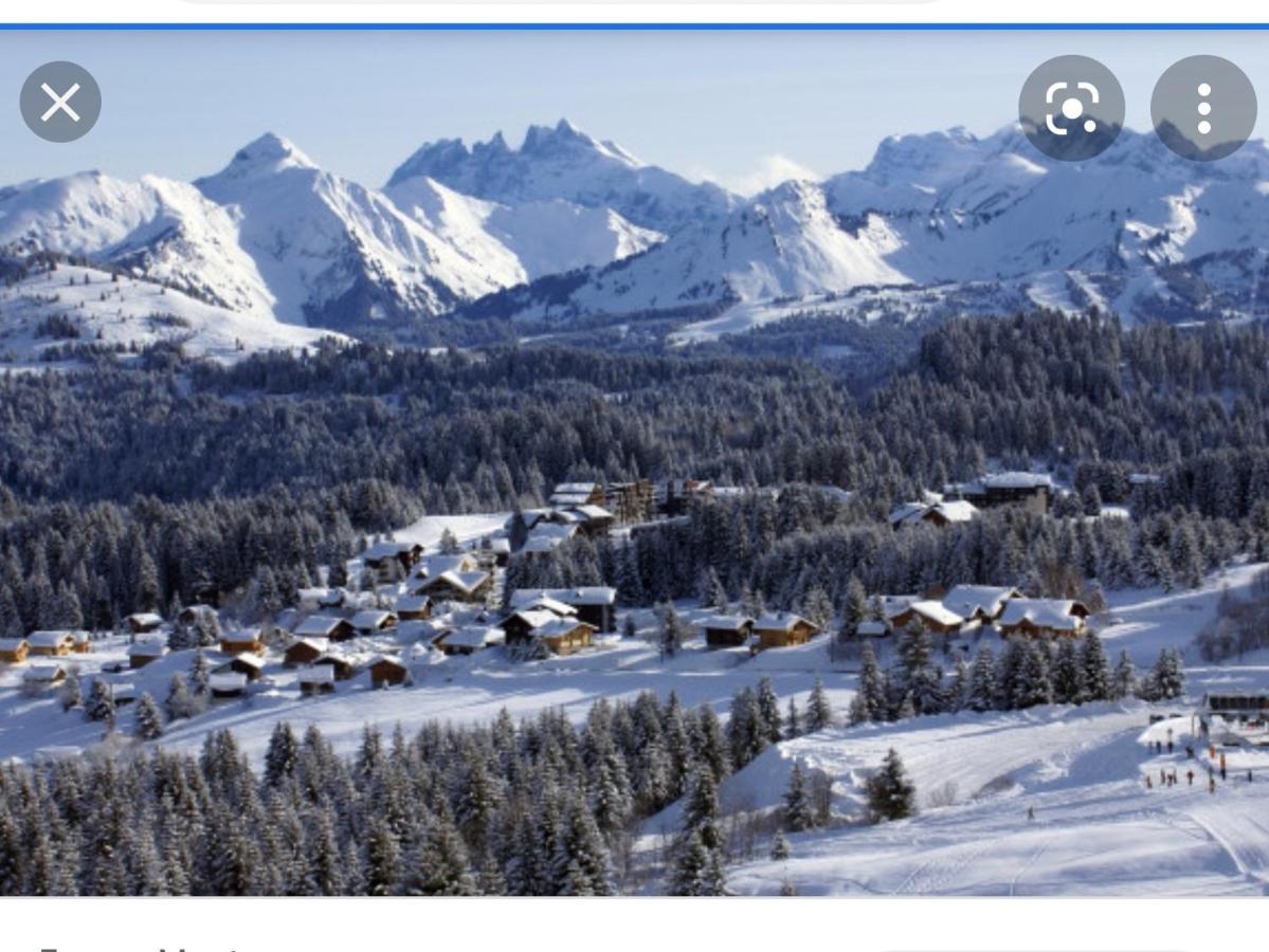 Studio Cabine Praz De Lys Taninges Exteriér fotografie